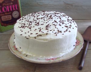 Homemade chocolate cake with chantilly on a plate