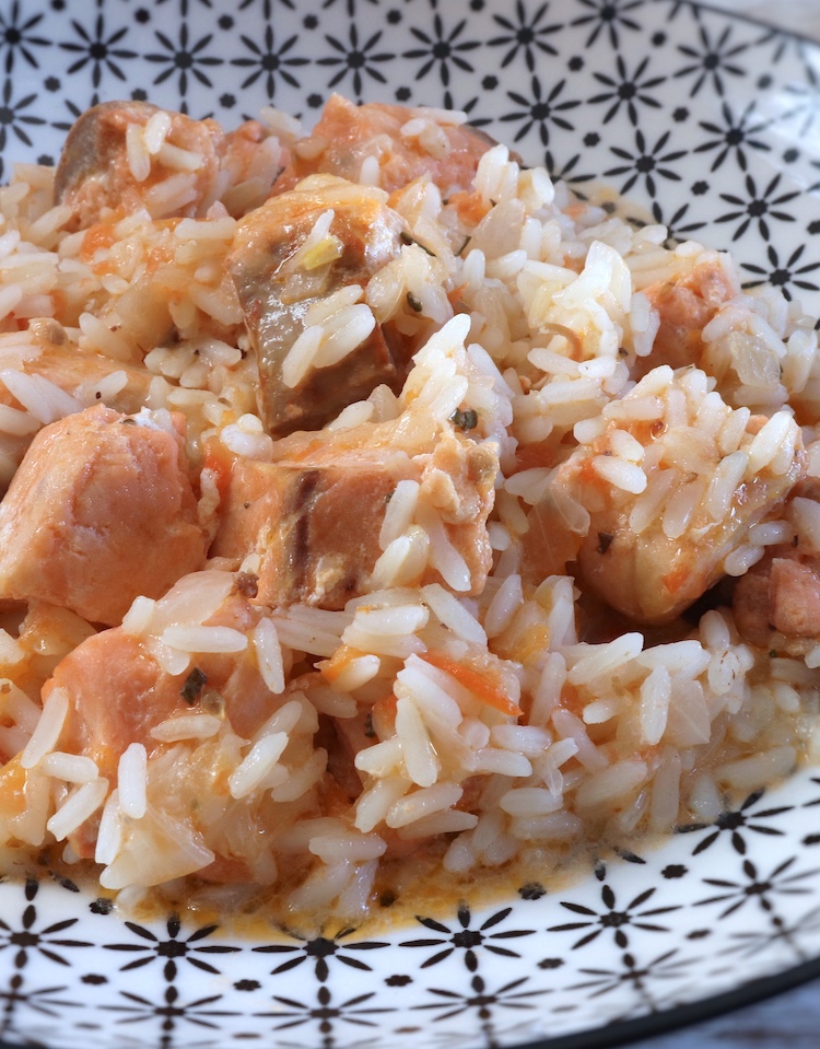 Salmão guisado com arroz num prato