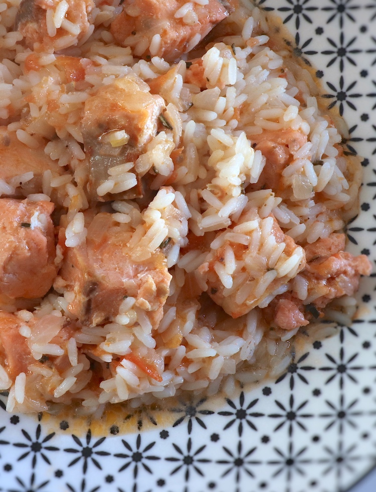 Salmon stew with rice on a plate