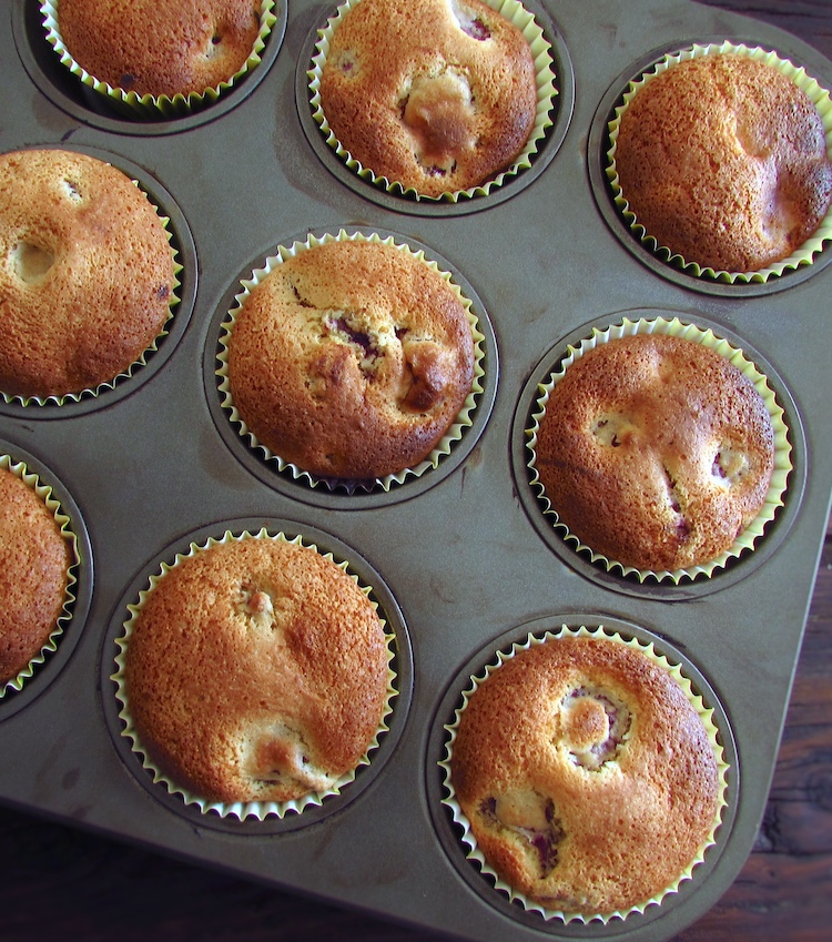 Raspberry muffins on muffin tins
