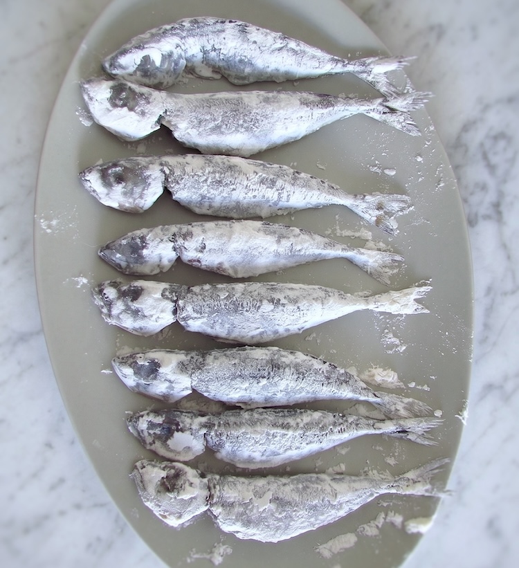 Horse Mackerel coated with flour on a platter